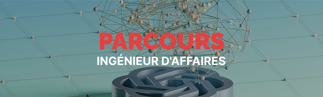 Ingénieur d'affaires